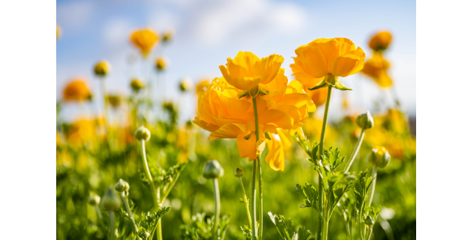 Día De Todos Los Santos: Qué Es Y Que Se Celebra - La Flor De Rute